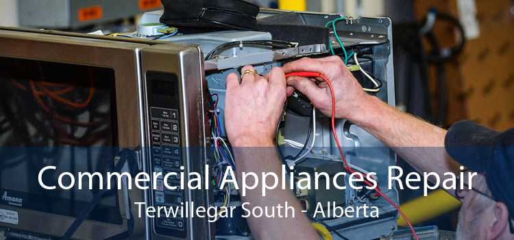 Commercial Appliances Repair Terwillegar South - Alberta