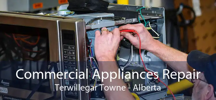 Commercial Appliances Repair Terwillegar Towne - Alberta
