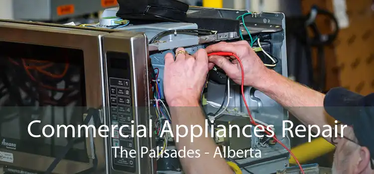 Commercial Appliances Repair The Palisades - Alberta