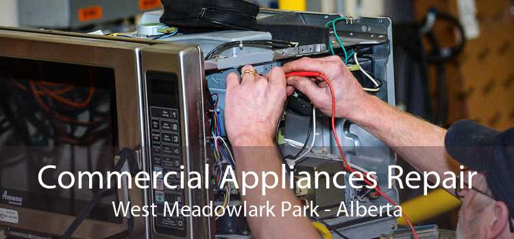 Commercial Appliances Repair West Meadowlark Park - Alberta