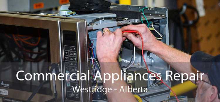 Commercial Appliances Repair Westridge - Alberta