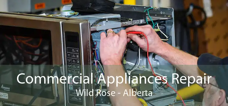 Commercial Appliances Repair Wild Rose - Alberta