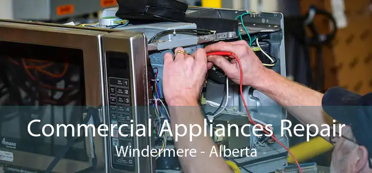 Commercial Appliances Repair Windermere - Alberta