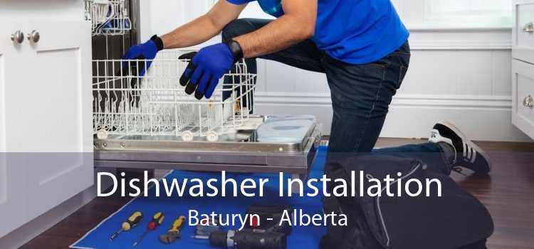 Dishwasher Installation Baturyn - Alberta