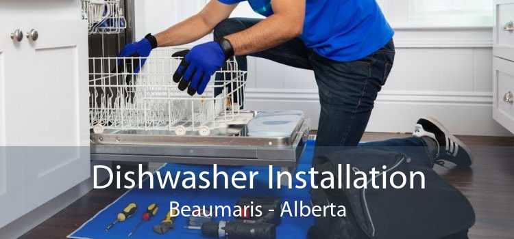 Dishwasher Installation Beaumaris - Alberta