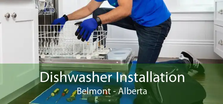 Dishwasher Installation Belmont - Alberta