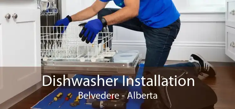 Dishwasher Installation Belvedere - Alberta