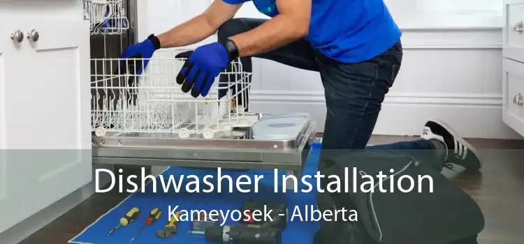 Dishwasher Installation Kameyosek - Alberta