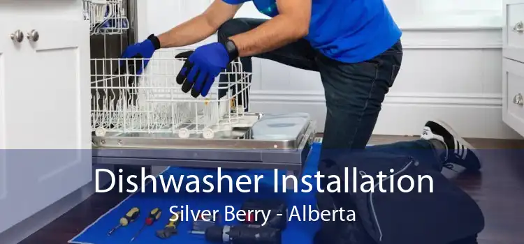 Dishwasher Installation Silver Berry - Alberta