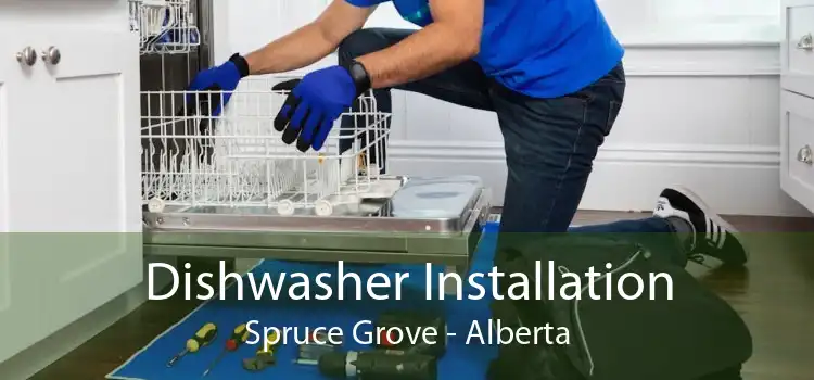 Dishwasher Installation Spruce Grove - Alberta