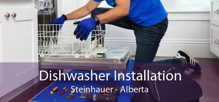 Dishwasher Installation Steinhauer - Alberta