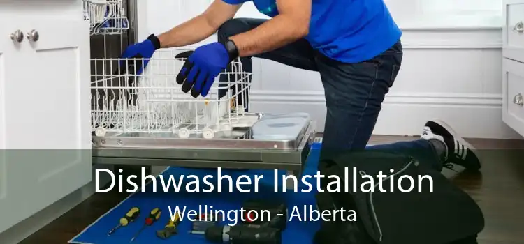 Dishwasher Installation Wellington - Alberta