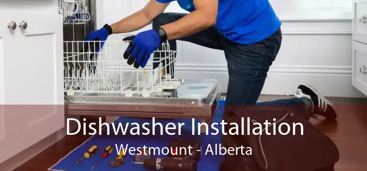 Dishwasher Installation Westmount - Alberta