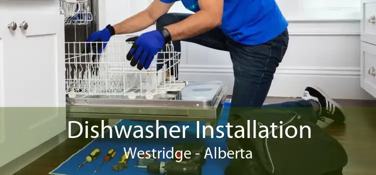 Dishwasher Installation Westridge - Alberta