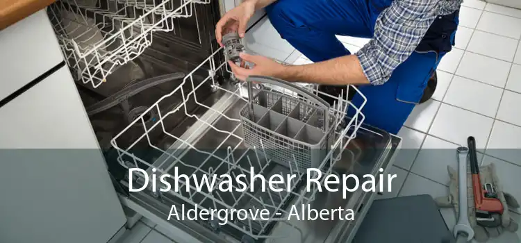 Dishwasher Repair Aldergrove - Alberta