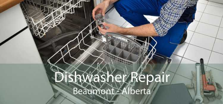 Dishwasher Repair Beaumont - Alberta