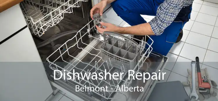 Dishwasher Repair Belmont - Alberta