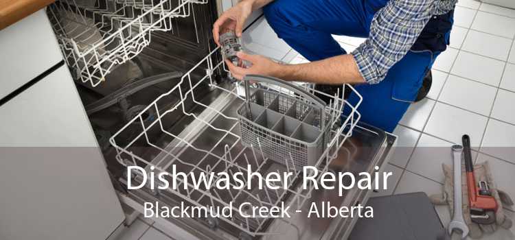 Dishwasher Repair Blackmud Creek - Alberta