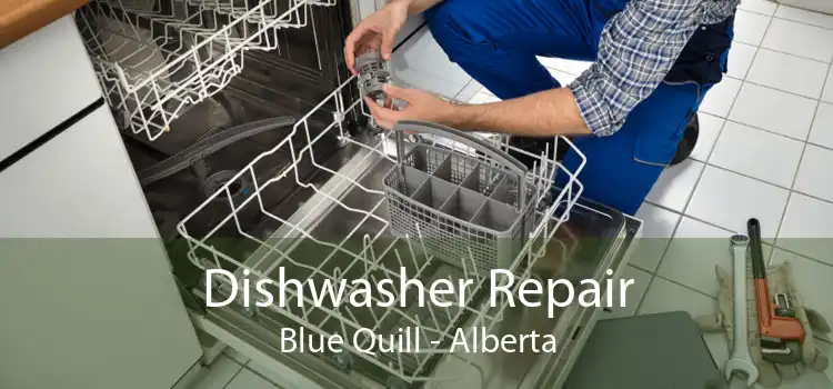 Dishwasher Repair Blue Quill - Alberta