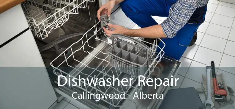 Dishwasher Repair Callingwood - Alberta