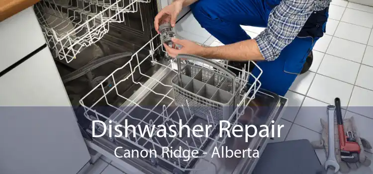 Dishwasher Repair Canon Ridge - Alberta