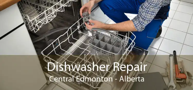 Dishwasher Repair Central Edmonton - Alberta