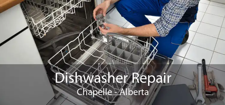 Dishwasher Repair Chapelle - Alberta