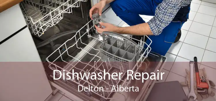 Dishwasher Repair Delton - Alberta