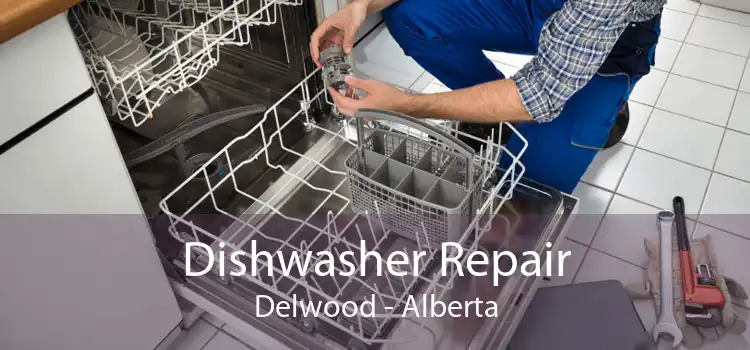 Dishwasher Repair Delwood - Alberta