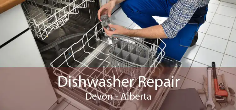 Dishwasher Repair Devon - Alberta