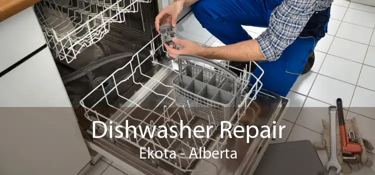 Dishwasher Repair Ekota - Alberta
