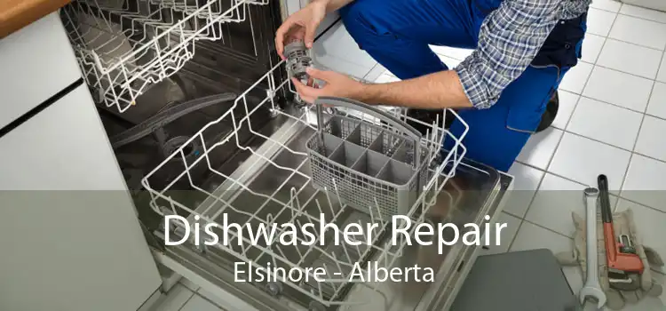 Dishwasher Repair Elsinore - Alberta