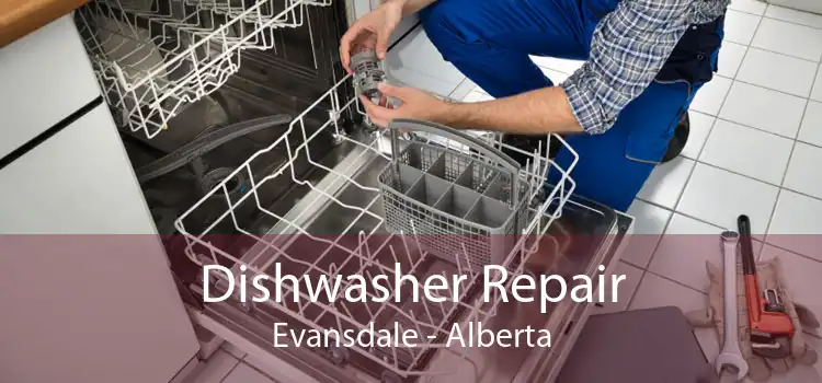 Dishwasher Repair Evansdale - Alberta