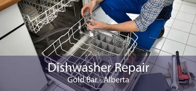 Dishwasher Repair Gold Bar - Alberta