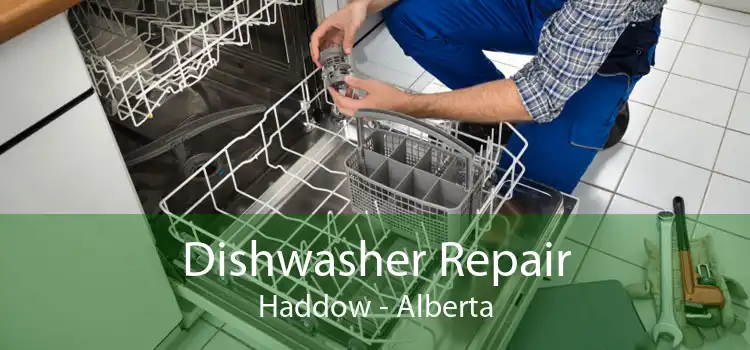 Dishwasher Repair Haddow - Alberta