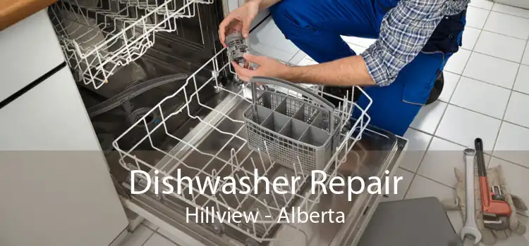 Dishwasher Repair Hillview - Alberta
