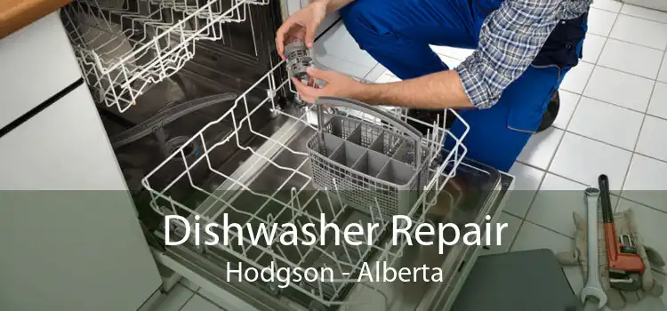 Dishwasher Repair Hodgson - Alberta