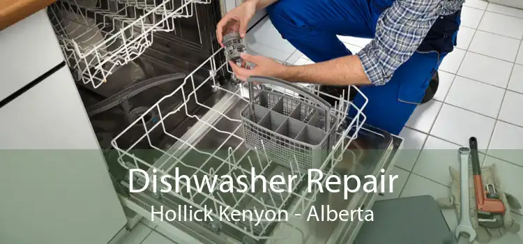 Dishwasher Repair Hollick Kenyon - Alberta