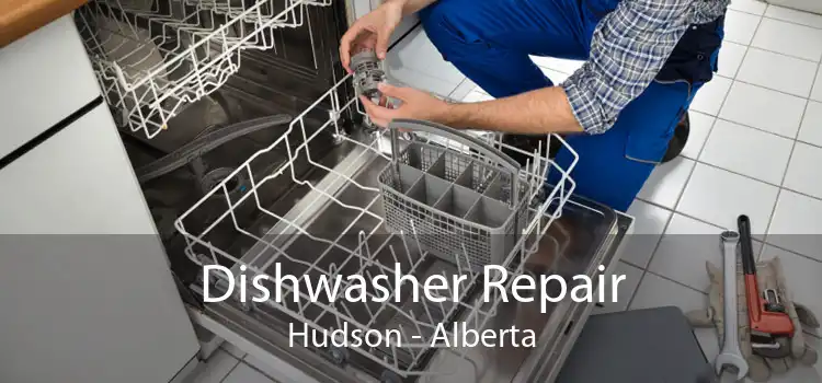 Dishwasher Repair Hudson - Alberta
