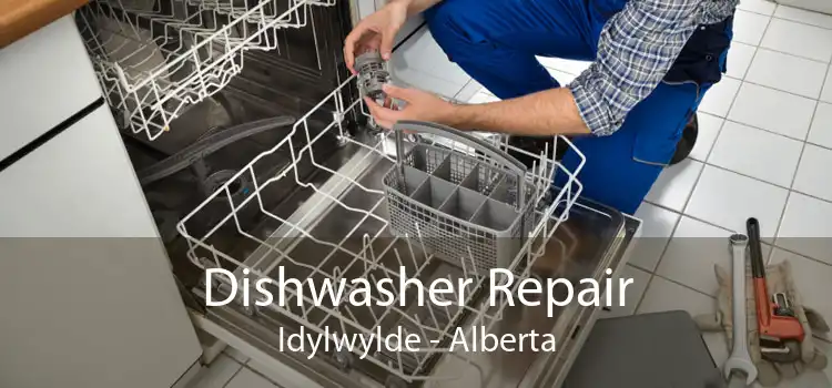 Dishwasher Repair Idylwylde - Alberta