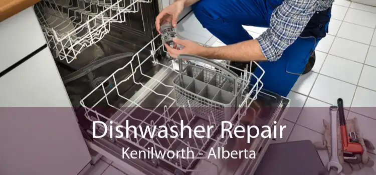 Dishwasher Repair Kenilworth - Alberta