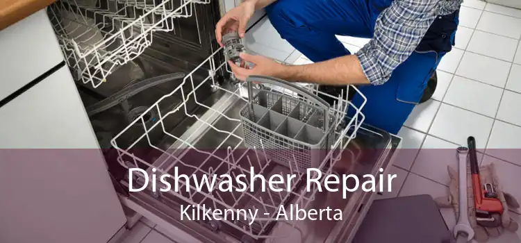 Dishwasher Repair Kilkenny - Alberta