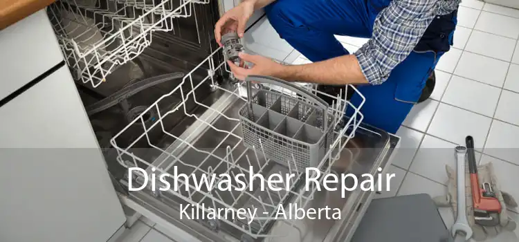 Dishwasher Repair Killarney - Alberta