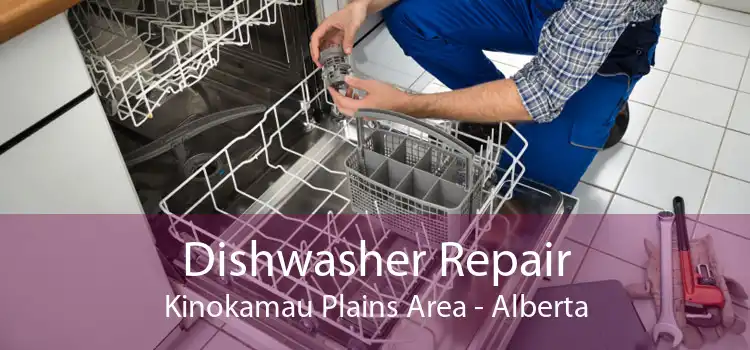 Dishwasher Repair Kinokamau Plains Area - Alberta