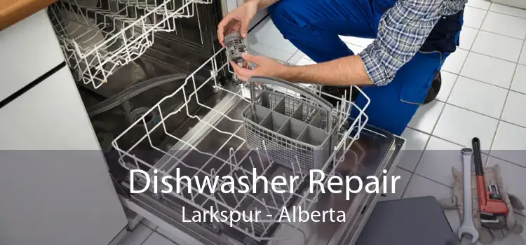 Dishwasher Repair Larkspur - Alberta