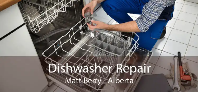Dishwasher Repair Matt Berry - Alberta