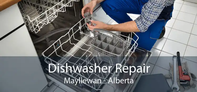Dishwasher Repair Mayliewan - Alberta