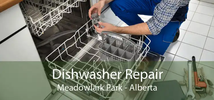 Dishwasher Repair Meadowlark Park - Alberta