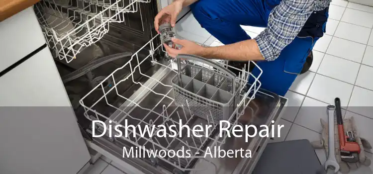 Dishwasher Repair Millwoods - Alberta