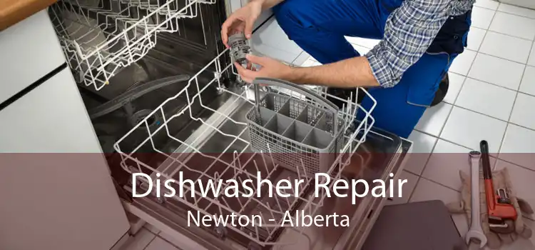 Dishwasher Repair Newton - Alberta